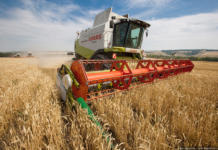 Farmers shall receive UAH 300 million for reduction of loan interest rates