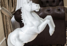 Ukraine on Horseback