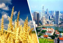 Досвід реформ на Далекому Сході як урок для України