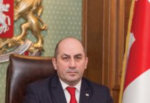 Про спільні економічні, політичні та культурні орієнтири України та Грузії