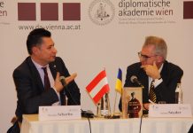 Рік української культури в Австрії та австрійської культури в Україні
