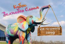 «Кубок Большого слона 2019» в Киевском гольф клубе «ГольфСтрим»