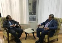 Зустріч Сергія Погорельцева з Директором Консульського департаменту МЗС Грузії