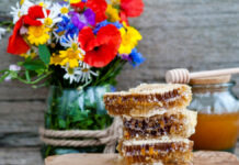 Сегодня в Украине отмечали Маковея