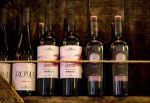 Italy will cede leadership in wine production to France