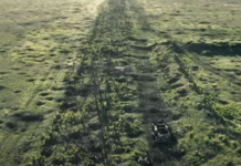 Вийшов міжнародний трейлер “2000 метрів до Андріївки” Мстислава Чернова: де і коли можна подивитися фільм